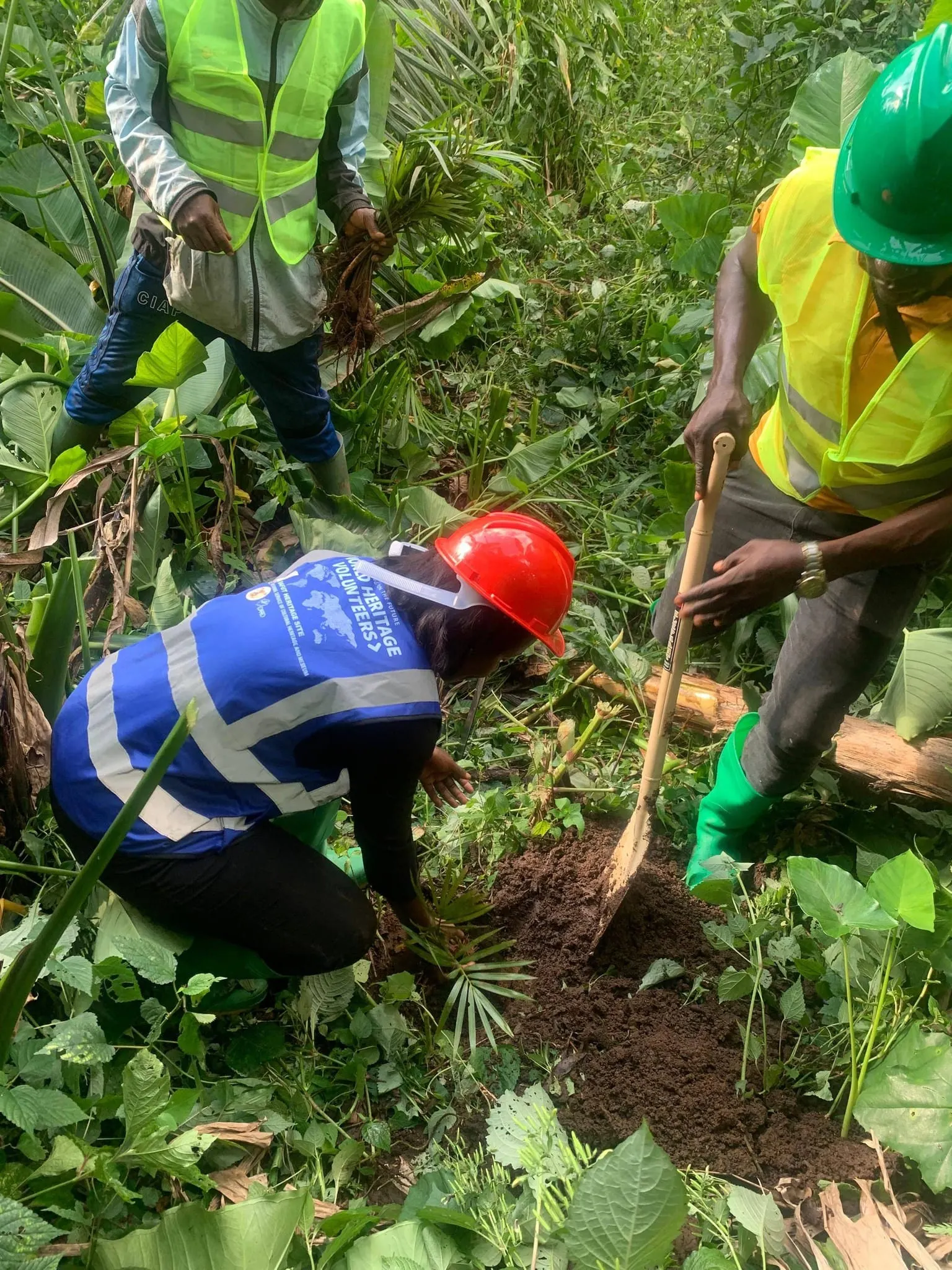 Tree Planting at the Bafut Royal Palace