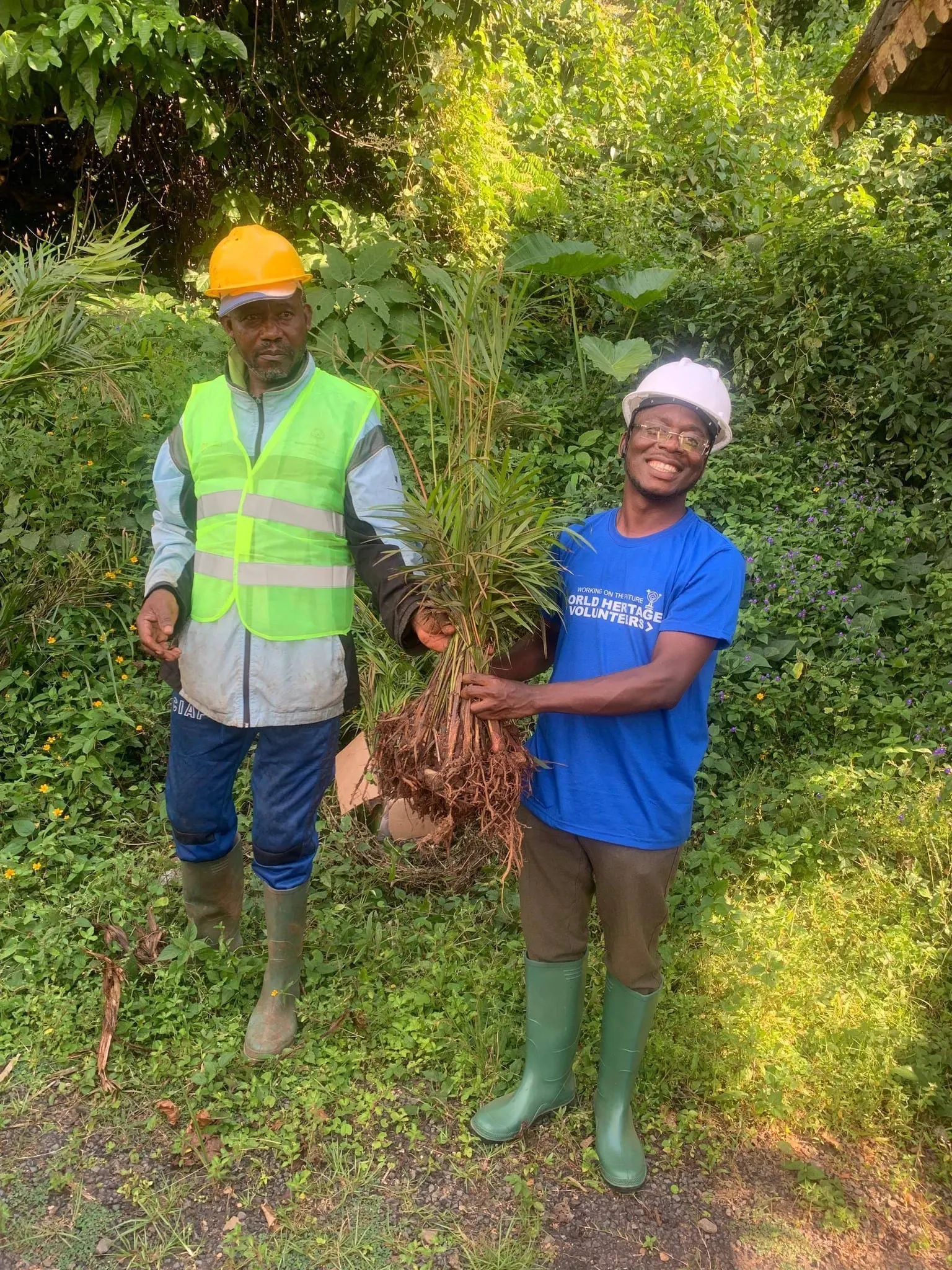Tree planting at the Bafut Royal Palace