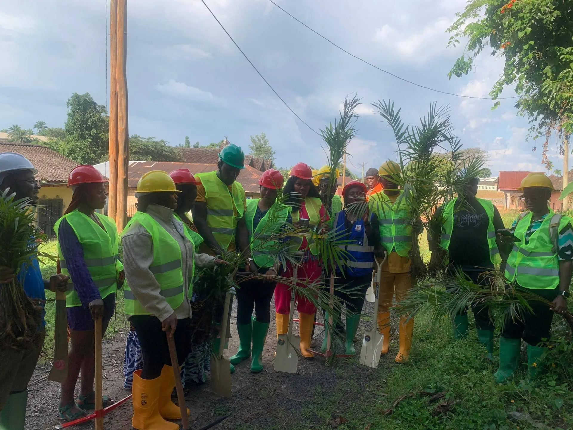 Tree Planting at the Bafut Royal Palace
